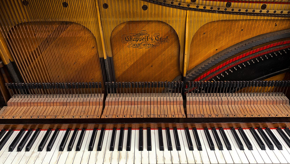 Close-up of grand piano keys and strings (illustrative music photography)